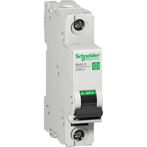Interruptor Schneider Electric c60sp 2A 10kA