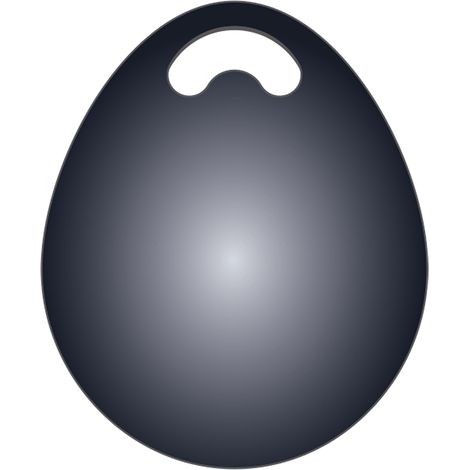 Alarm Tags im 2er Set Handsender für ELRO AS98 Home2 Alarmsystem mit App