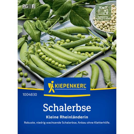 Kiepenkerl Saatgut Schalerbsen Kleine Rheinländerin für ca. 2,4 – 4 m² (1/2)