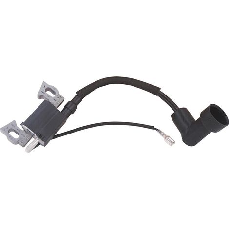 Motor mit elektronischer Spule, kompatibel 1P65FE-2 ES LONCIN 270920421-0001
