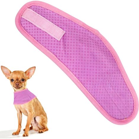 Cooling collar for dogs, pink, size S (1/5)