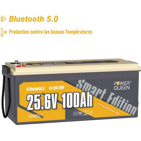 Power Queen – Batterie lithium 24V 100Ah 2560Wh – LiFePO4 Bluetooth – BMS 100A – Protection à basse température – 4000 à 15000 cycles – Solaire, camping car, bateau