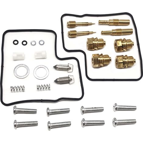 Kit orf réforrtiorn ctorrburtorteur - cormptortibgivthere VT500C - F206 (1/4)