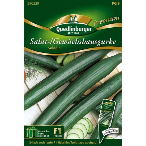 Quedlinburger Saatgut – Concombre à salade / de serre « Saladin » F1 – Graines de légumes, hybride, fruits env. 35 cm (1/2)