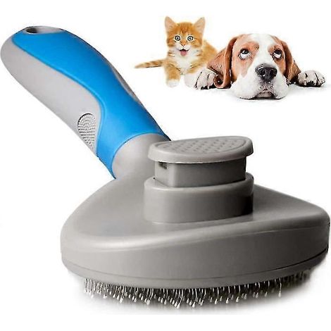 Brosse de nettoyage pour poils de chat et de chien (1/3)