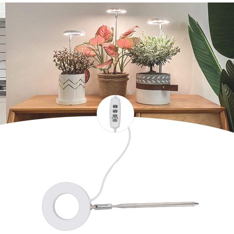 Lampe de toilettage pour plantes succulentes Angel Ring, LED à spectre complet, alimentée par USB, pour fleurs et bonsaïs. (1/5)
