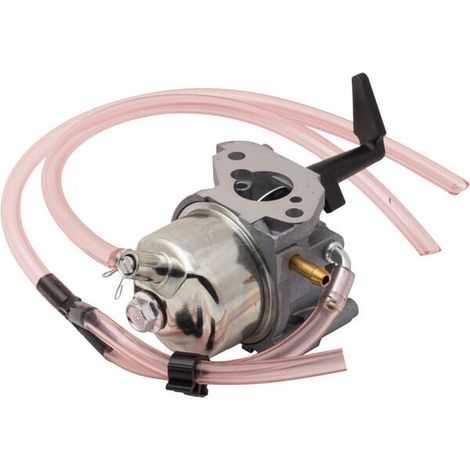 Carburateur BRIGGS & STRATTON 311392GS (1/5)