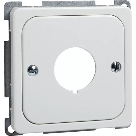 Schneider Zentralplatte rw Befehlsgeräte 203064 (1/2)