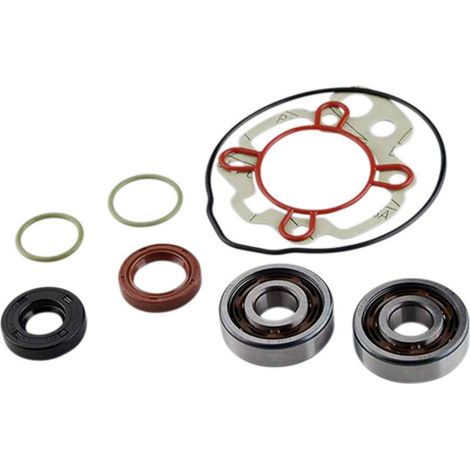 lager oder dichtung spi motor teknix für motorrad rieju 50 spike