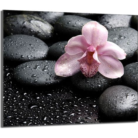 Placa protectora de vidrio para la estufa 60x52 Orchidea (1/5)