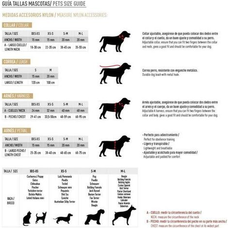Pettorina per cani Batman Taglia XXS-XS (1/5)