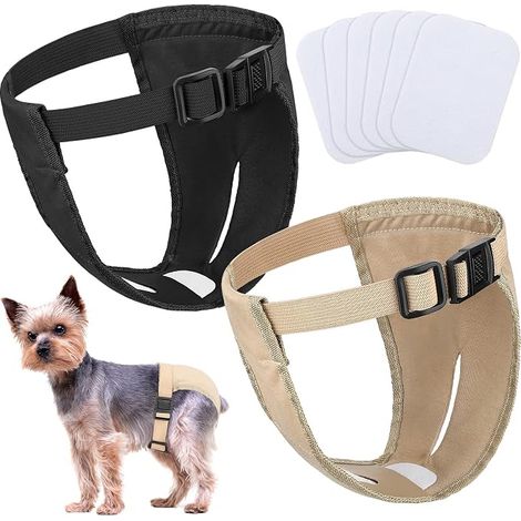 Couches pour Chien Culottes pour Chien Femelle de Protection Ajustable(S) (1/3)