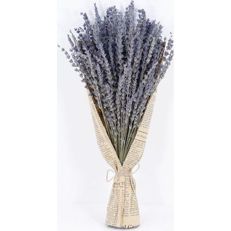 1 brin de lavande séchée, bouquet de fleurs de lavande naturelles, tiges de 43 cm (1/4)