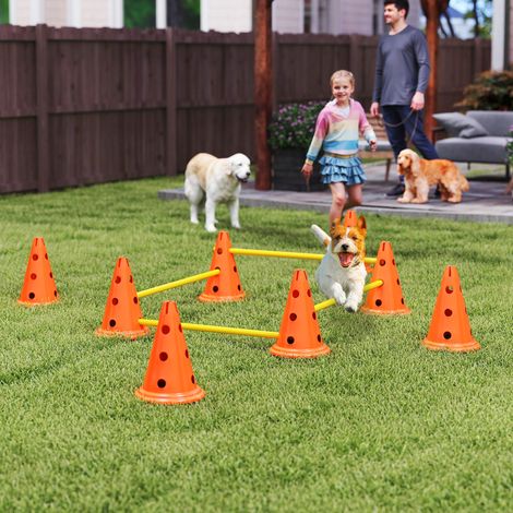 Jeu d’agilité conçu pour chiens Entraînement à la coordination Obstacles Clôtures 8 cônes 8 barres Sac