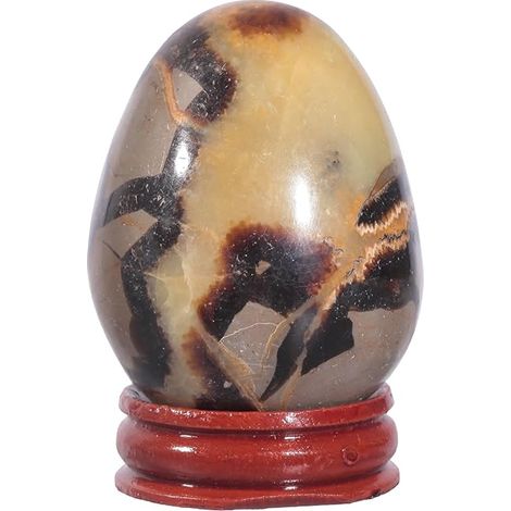 Figurine Oeuf Septarium Boule Cristal Décoration Piédestal Bois Ornement Géode Naturel 50mm-65mm (1/5)
