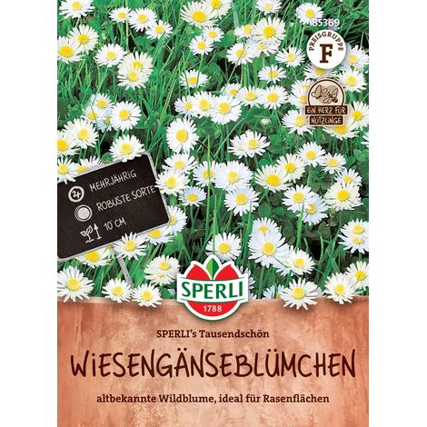 Sperli Gänseblümchen Wildform SPERLI´s Tausendschön - Blumensamen (1/2)
