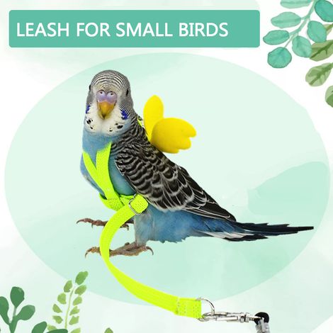 Harnais et laisse ailés mignons pour l'entraînement au vol des petits oiseaux, harnais et laisse ailés réglables pour perroquets et pigeons en extérieur (1/5)