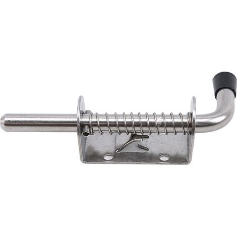 Loquet à ressort en acier inoxydable argenté, 2 pièces, en fer robuste, pour voiture, camion, lit, loquet galvanisé (1/5)