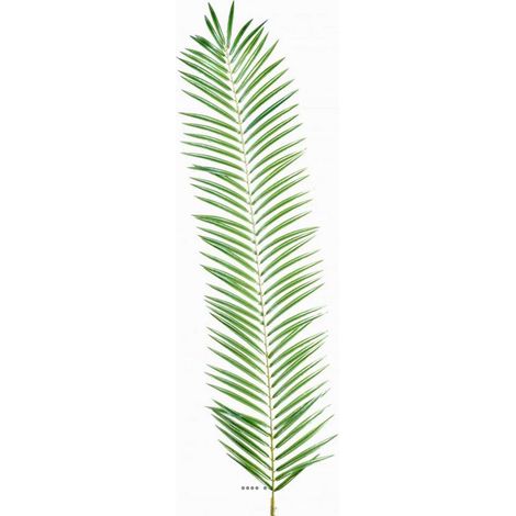 Feuille de palmier Cycas artificielle en tergal H 110 cm Vert