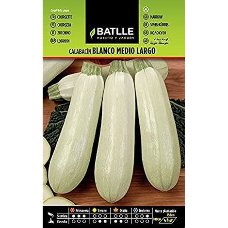 Semi Batlle – Sunny Pumpkins (1/3)