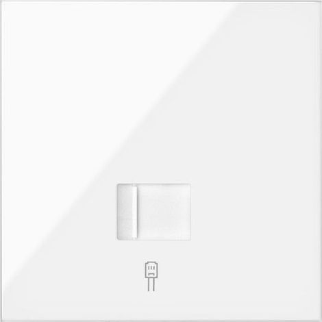 SIMON 100 - Front Kit 1 Element 1 RJ45 Buchse 1002010-1-130