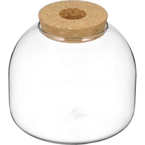Terrarium en verre transparent (lot de 3) pour écosystème et présentation de plantes - 15 x 15 cm (1/4)