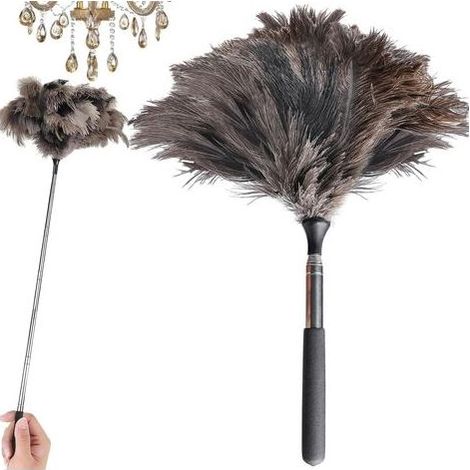 Balai À Plume d'Autruche Télescopique: Efficacité Plumeau À Plumes D'Autruche, Confort Balai À Poussière Long pour Surfaces Élevées (17-40 Pouces) (1/5)