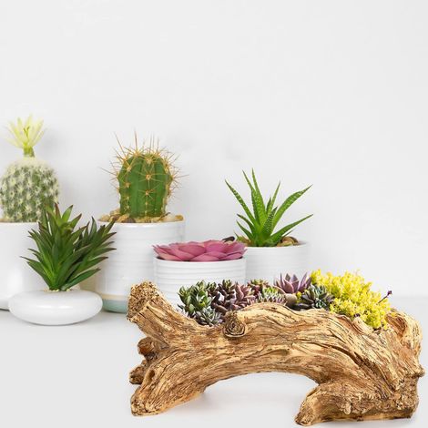 Sukkulenten-Blumentopf aus Holz, der einer alten Baumwurzel nachempfunden ist, originelles Tablett in Form eines umweltfreundlichen Baumstumpfs oder einer Baumkrone, Bogenbrücke (1/5)