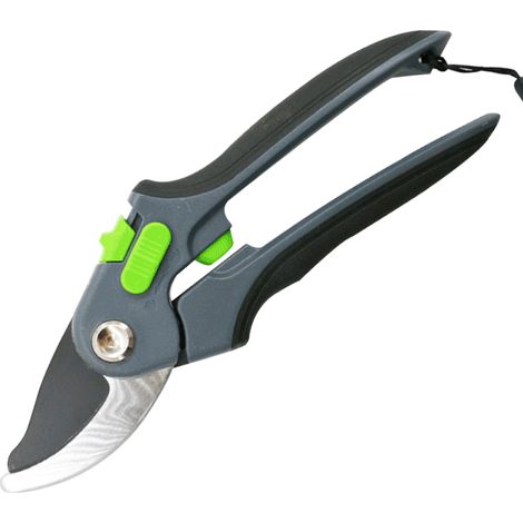 Sécateurs, outils de jardinage facilitant le travail, sécateurs pour arbres fruitiers (1/4)