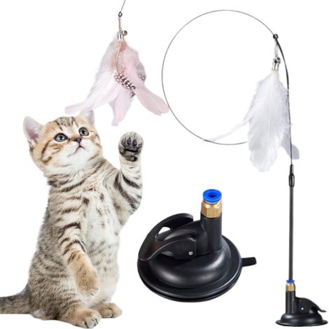 Canna da pesca con ventosa - giocattolo per gatti (1/5)