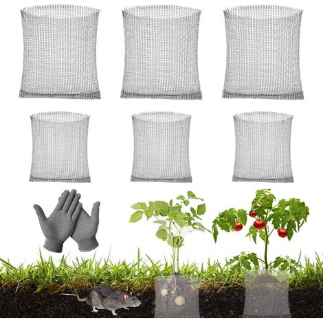Panier anti-campagnol Inox x6 avec gants, protection racines plantes fleurs légumes, filet métallique robuste (1/5)