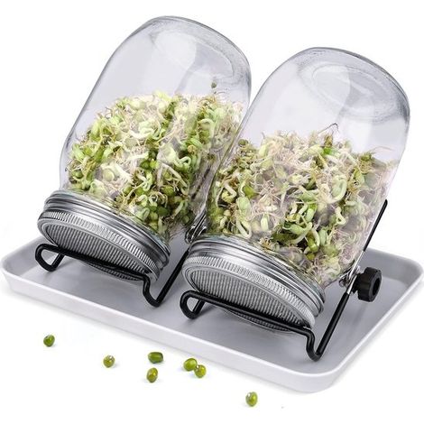 Macetas de germinación, 2 macetas de germinación con tapas de tamiz de acero inoxidable, kit macetas germinación semillas brócoli judías verdes (1/5)