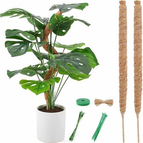 2 Pièces 110 cm(44 Pouces) Tuteur Coco Pliable Bâton de Mousse de Coco avec pour Monstera Creepers Plantes Grimpantes avec 1 Rouleau Serre Câbles et 1.5m Ficelle de Jute (1/5)