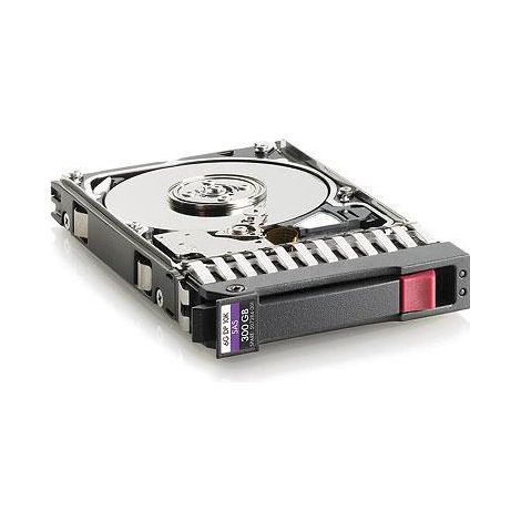HP Enterprise Hot-Plug 300 GB 10.000 U/min 2,5, EG000300JWEBF