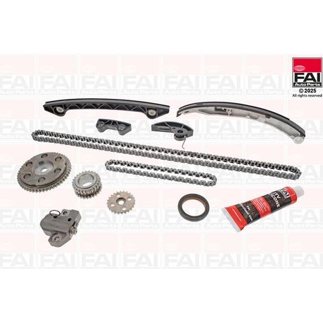 Kit de distribution par chaîne FAI AutoParts TCK68 MAZDA L305-12-201 L321-14-151