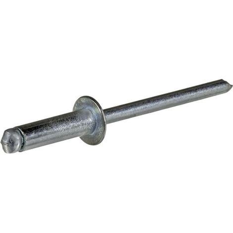 Rivet aveugle UNIVERSEL BN4816SS (1/2)