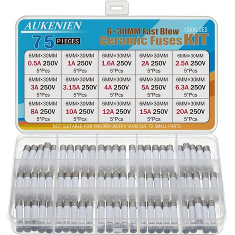 6X30MM Fusible Ceramique 15 Valeurs 0,5A 1A 1,6A 2A 2,5A 3A 3,15A 4A 5A 6,3A 8A 10A 12A 15A 20A 250V 75 Pièces 6X30 MM 250 Volts Kit Fusibles Céramique Fusion Rapide (1/5)