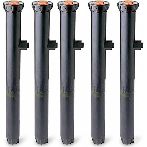 Set di 5 Diffusore di irrigazione Rain Bird 1812.  Altezza di sollevamento di 30 cm