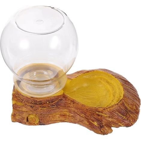 Abreuvoir Automatique en Résine pour Reptiles – Bol D’Eau 1l Compatible Tortues et Lézards, Distributeur Eau Terrarium Solide pour Terrariums et Habitat Naturel (1/5)
