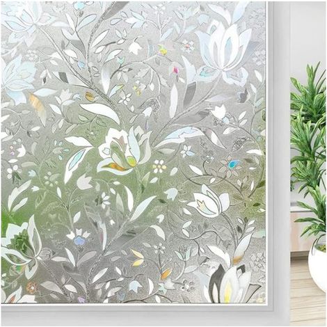 Film dépoli pour vitres, protection de l'intimité, 200 x 60 cm (1/5)