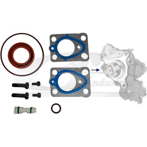 3RG 86213 KIT REPARACIÃƒâ€œN BOMBA INYECCIÃƒâ€œN (10PCS)