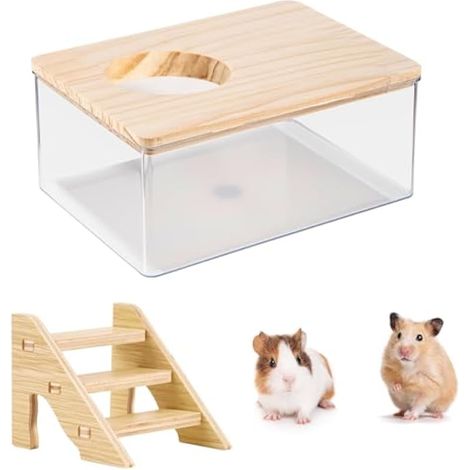 Salle Bain Hamster Transparente Salle de Bain pour Hamster, Toilette Salle Bains Sable Hamster avec échelle Bain de Sable Hamster pour Hamster, Petits Animaux (1/4)