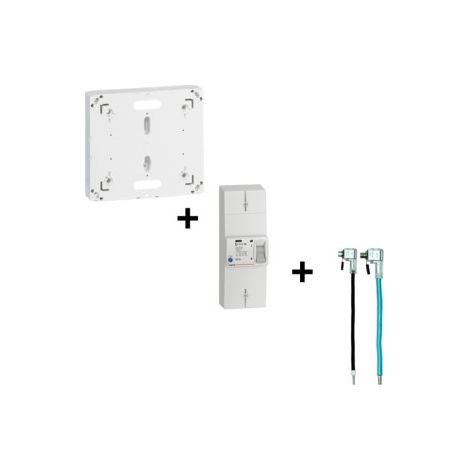 Legrand - Disjoncteur EDF 60A Su00e9lectif + Platine + Embouts de raccordement EDF PH+N 60A - Ru00e9f. : 401006+401191+EBCPAU35M16N-B (1/5)