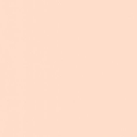 BRICOFLOR Papier peint Beige / Crème - Papier peint Uni - 10,05 x 0,53 m (1/5)