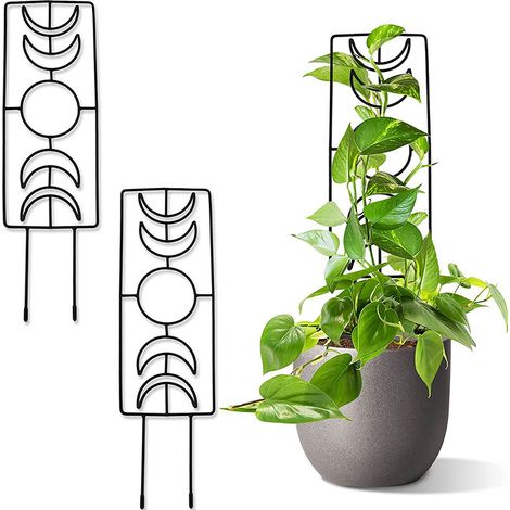 Filet pour plantes grimpantes d'intérieur, petit cadre de jardin (1/5)