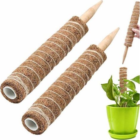 Coconut fiber plant stakes, 30 cm, 2 pieces, moss stick for climbing plants, hazel pole. (1/4)