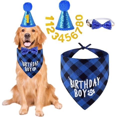 Articles de fête d'anniversaire pour chien, ensemble bandeau, chapeau et nœud papillon numéroté (1/5)