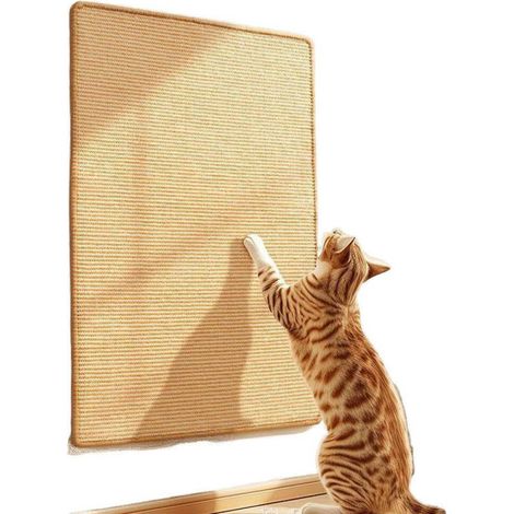 60 x 30 cm, Tapis griffoir pour Chat, Tapis à Gratter Horizontal, Tapis de Sol pour Chat, Protège Les Tapis et Canapés, Beige (1/5)