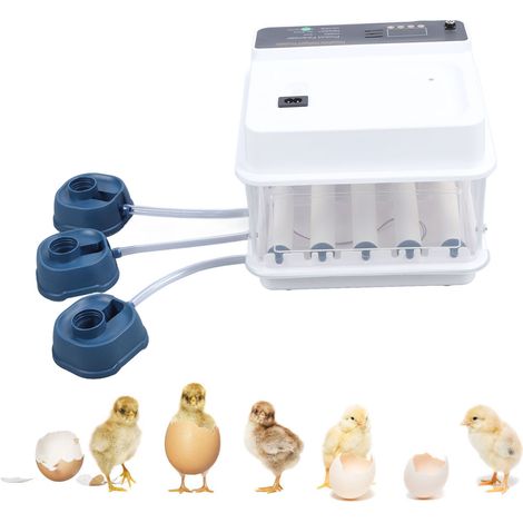 Incubateur intelligent entièrement automatique pour poussins, canetons et oies  petit incubateur domestique  incubateur pour pigeons et perroquets  incubateur 10 œufs 220 V aux normes européennes. (1/5)