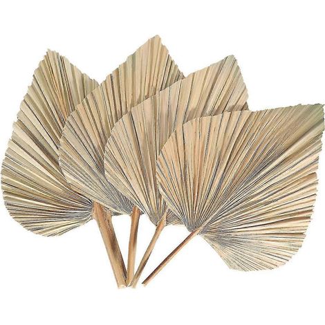 4 feuilles de palmier séchées, éventails de palmier séchés, style bohème, branches de palmier séchées, plantes artificielles, feuilles de palmier tropicales (1/5)